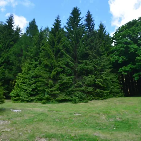 بيت ضيافة Jizerka Kořenov